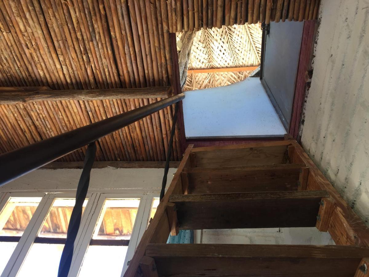 タガンガ Casa Barcaホステル エクステリア 写真